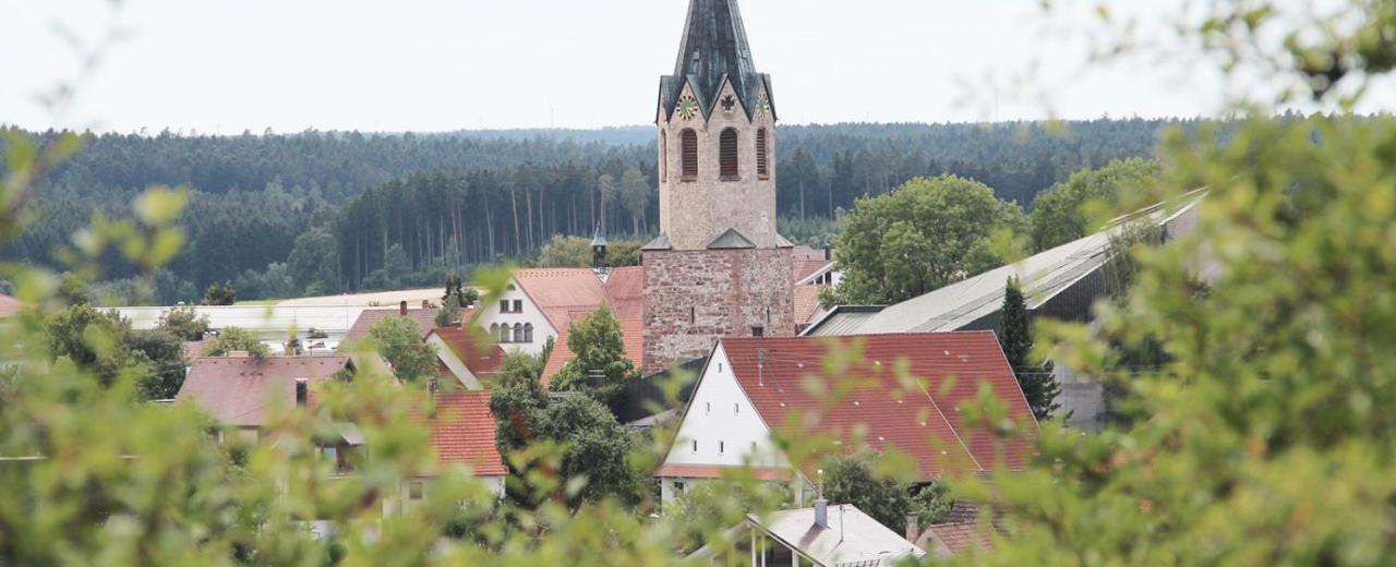 ホテル Alte Schmiede Dunningen エクステリア 写真